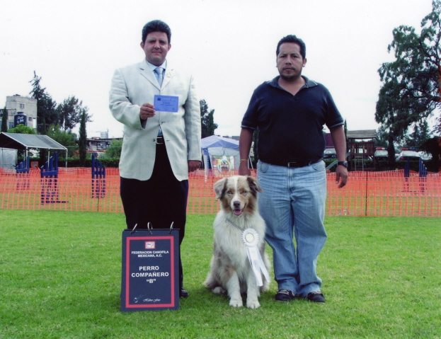 Escuela de Obediencia Canina | Cuautitlán Izcalli | Mundo Kanino